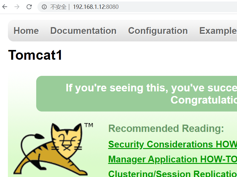 以tomcat为基础平台+keepalive双主模式+nginx负载均衡+DNS+NFS