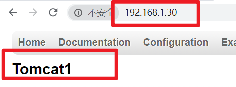 以tomcat为基础平台+keepalive双主模式+nginx负载均衡+DNS+NFS
