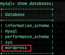Kubernetes基于LNMP搭建wordpress