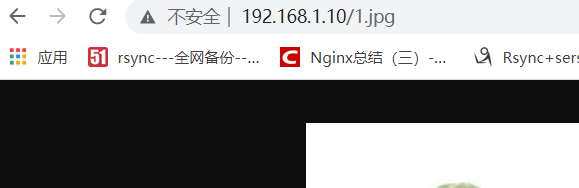 nginx配置及多种功能实现
