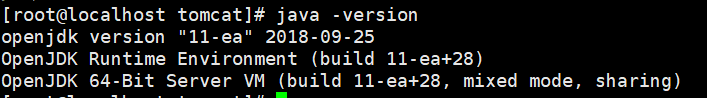 Tomcat(Java web 环境搭建)