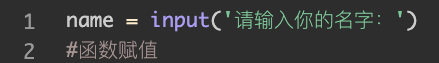 4  input()函数