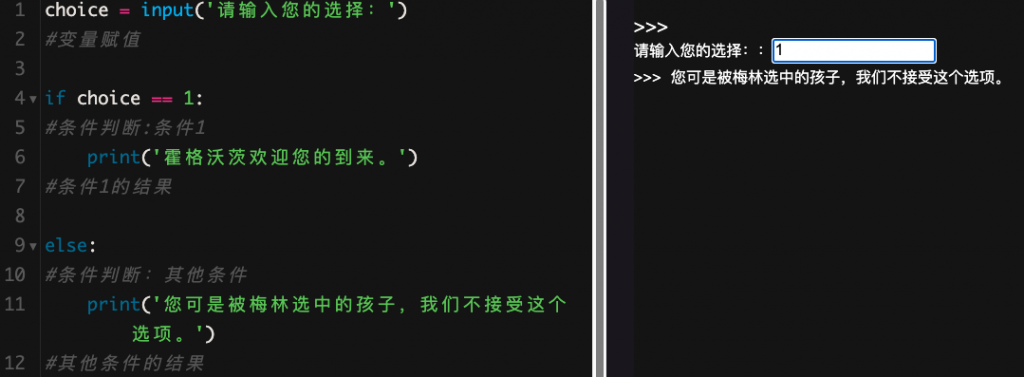4  input()函数
