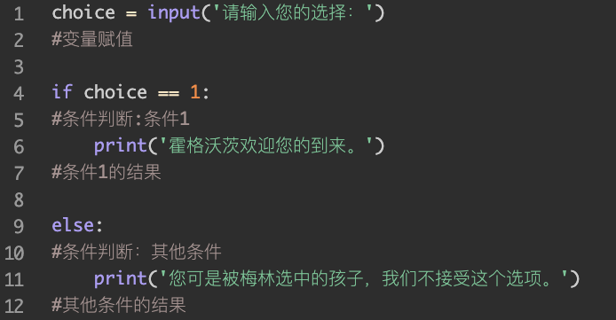 4  input()函数