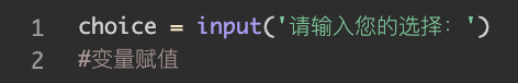 4  input()函数