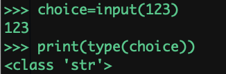 4  input()函数
