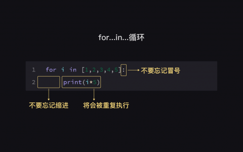 6 for循环和while循环