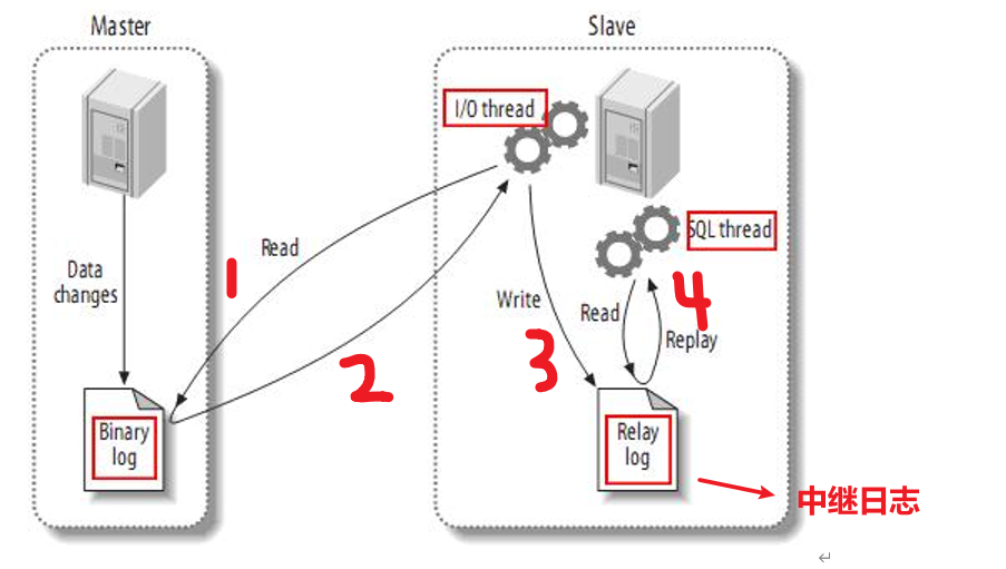 5 mysql主从备份（冷备份、内置命令备份、mysqldump 备份、mysql-binlog 备份）