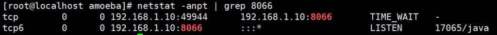 9 Amoeba和mycat分别实现mysql读写分离