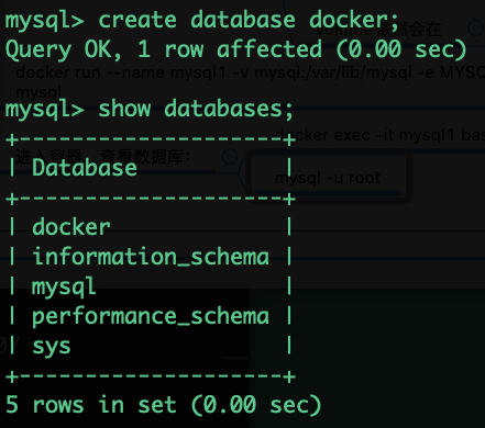 03-Docker的持久化存储和数据共享