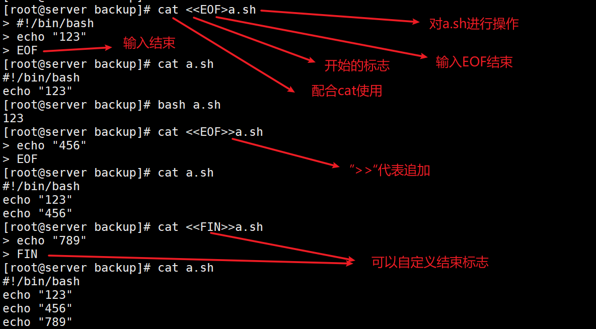 1、shell基础知识点