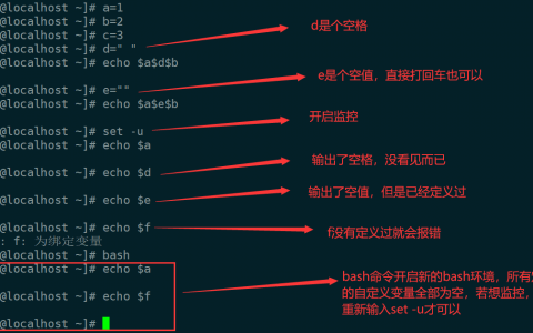 2、变量