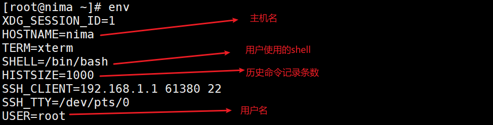 2、变量