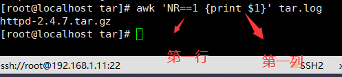 9、循环语句