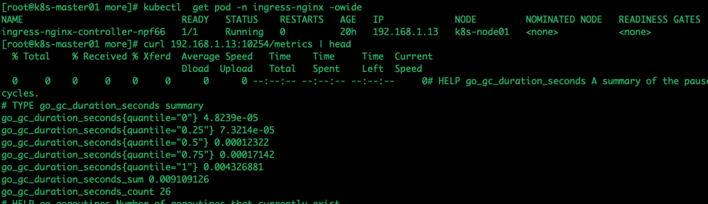 ingress进阶