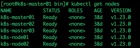 二进制搭建kubernetes升级版本