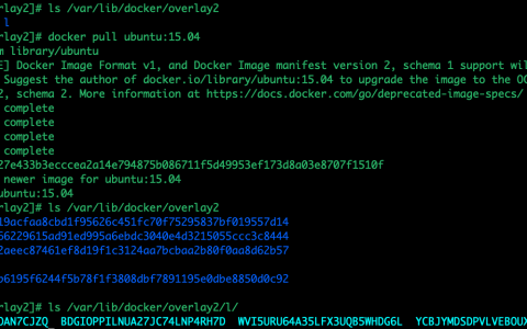 Union File System