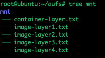 Union File System