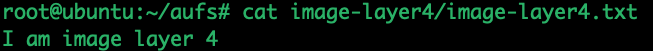 Union File System