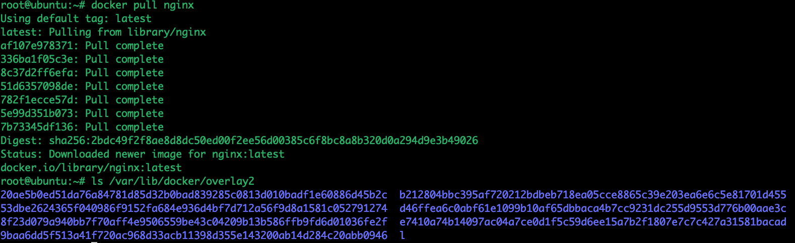 Union File System