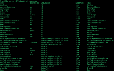 Kubernetes API Server原理解析