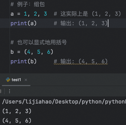 进阶2：容器（元组、列表、字典）的处理总结