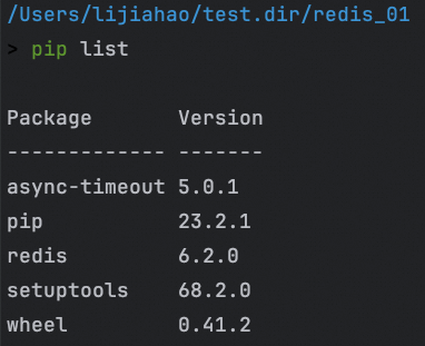 Python 操作 Redis